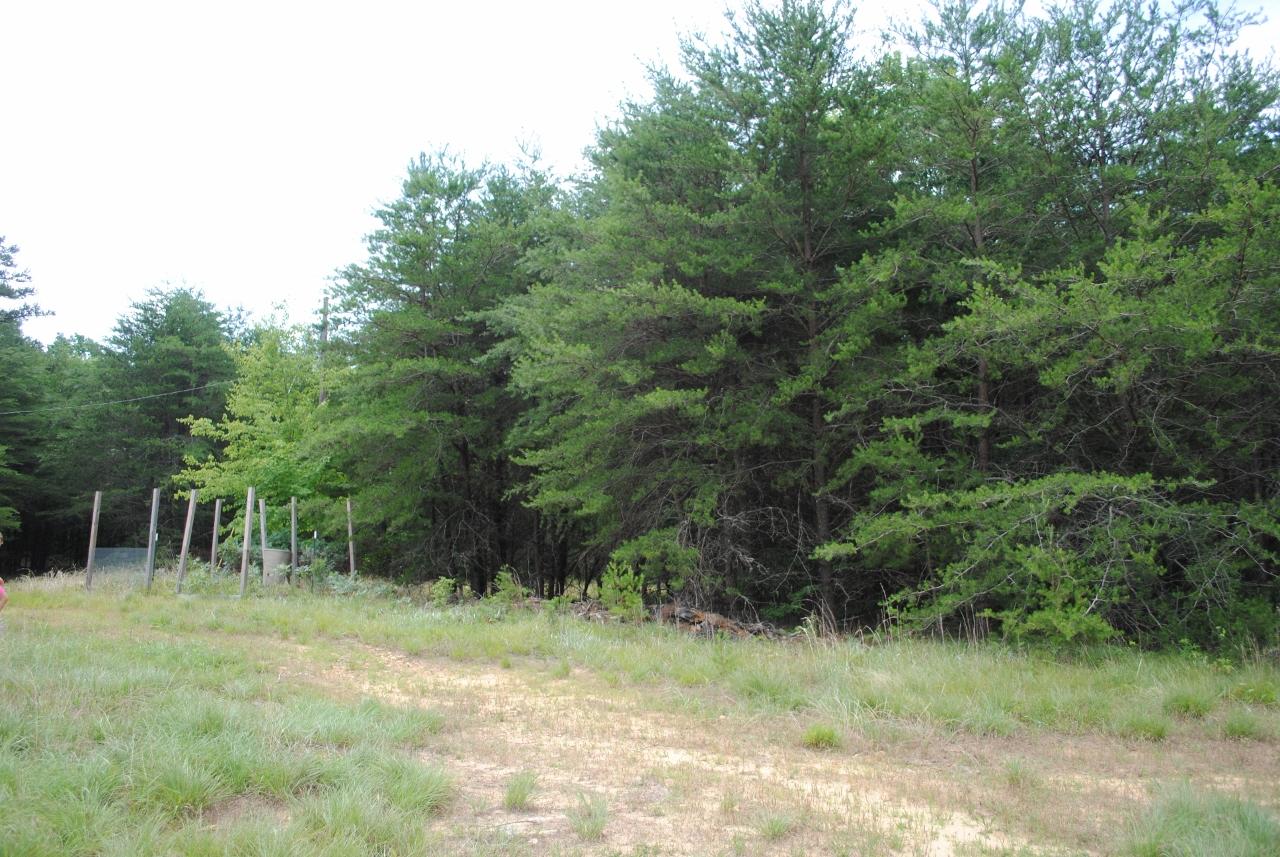 2596 Old State Road Cloudland, GA 30731 - Photo 15 of 49 DSC_0022 (1280x857)