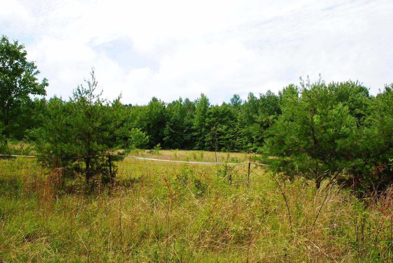 2596 Old State Road Cloudland, GA 30731 - Photo 19 of 49 DSC_0035 (1280x857)