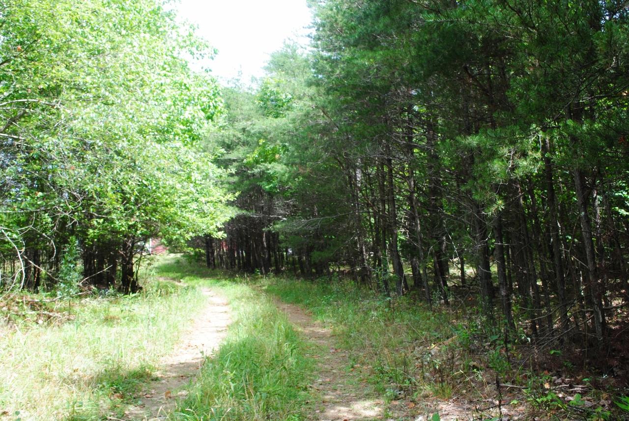 2596 Old State Road Cloudland, GA 30731 - Photo 46 of 49 DSC_0062 (1280x857)