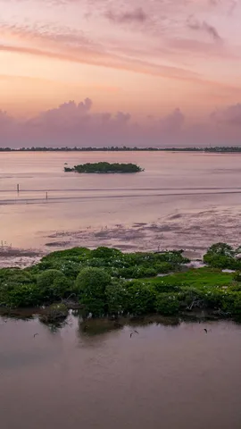 $3,495,000 | 14 Heron's Nest, Sewall's Point, FL 34996