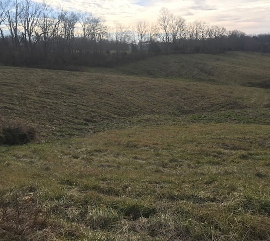 1350 Osborne Road Dry Ridge, KY 41035 - Photo 4 of 12
