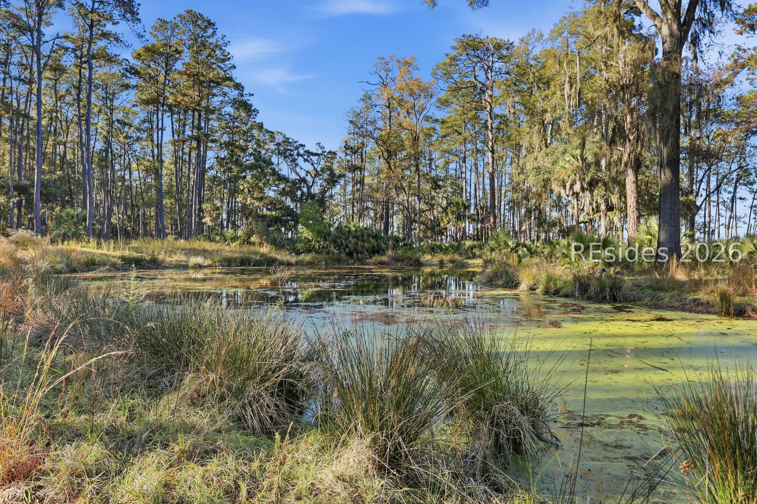 0 Rose Island Port Okatie, SC 29909 - Photo 50 of 53