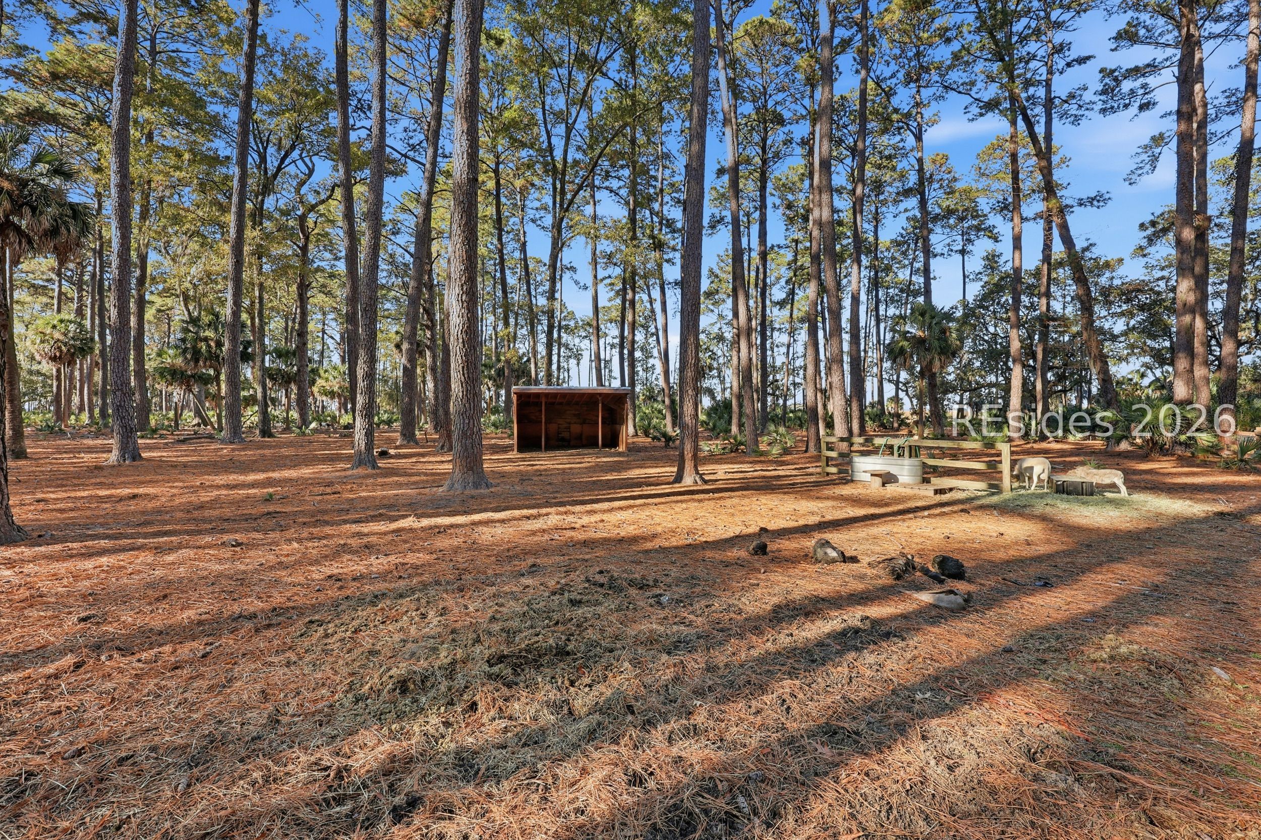 0 Rose Island Port Okatie, SC 29909 - Photo 52 of 53