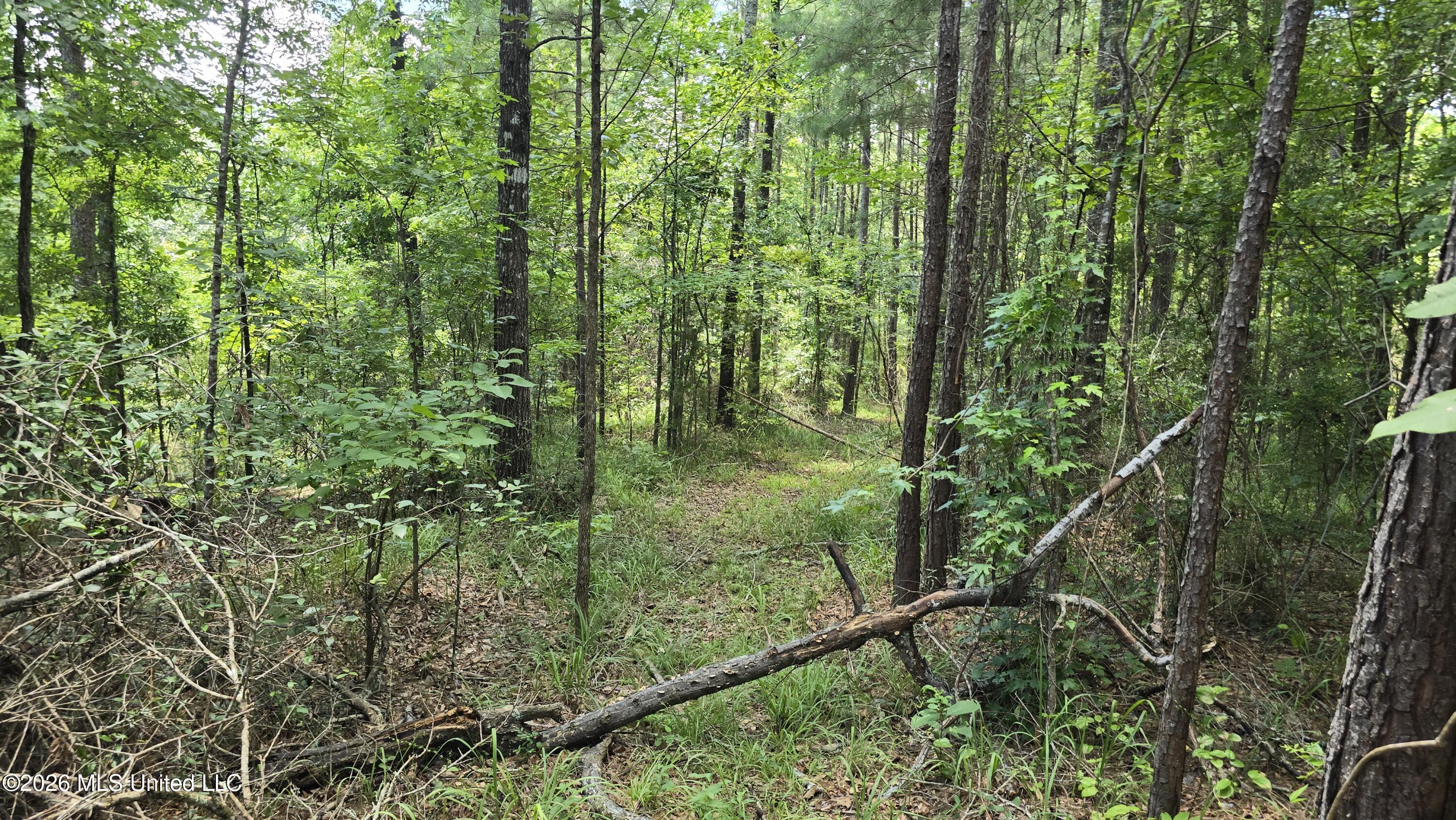 . Neal Posey Road McCall Creek, MS 39647 - Photo 1 of 18 20260709_130601