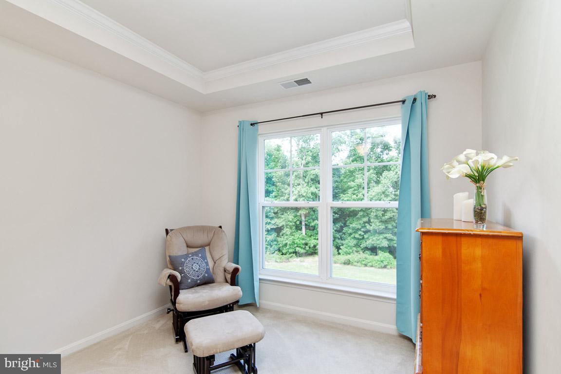 9079 Ribbon Falls Loop Bristow, VA 20136 - Photo 12 of 22 Master Bedroom Sitting Area