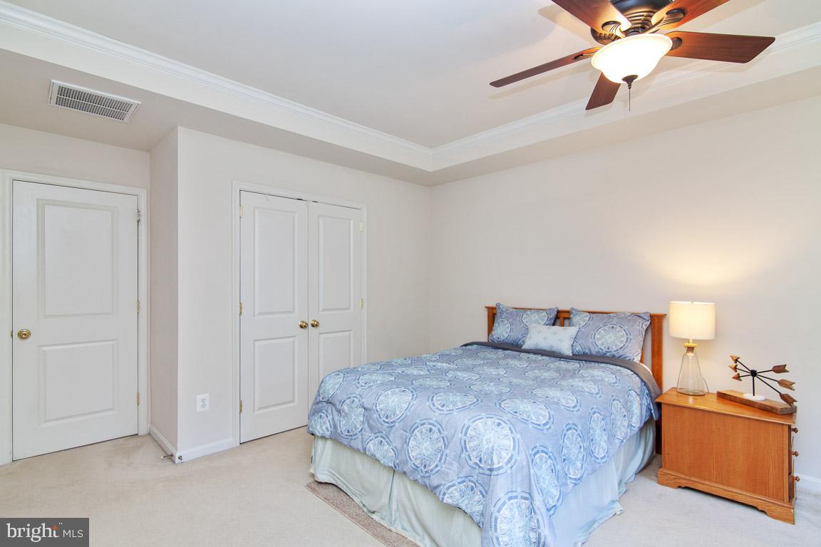 9079 Ribbon Falls Loop Bristow, VA 20136 - Photo 9 of 22 Master Bedroom