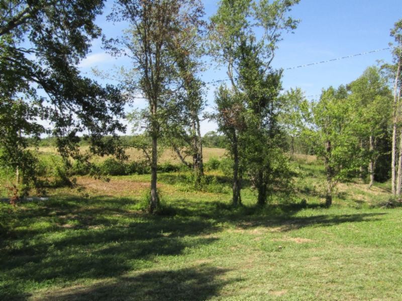 306 Ernie Hurst Road Deer Lodge, TN 37726 - Photo 12 of 38 Gallery Image 12
