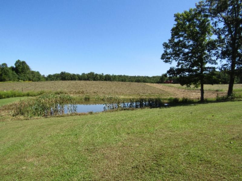 306 Ernie Hurst Road Deer Lodge, TN 37726 - Photo 13 of 38 Gallery Image 13