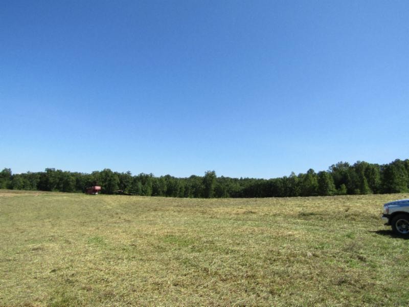 306 Ernie Hurst Road Deer Lodge, TN 37726 - Photo 15 of 38 Gallery Image 15