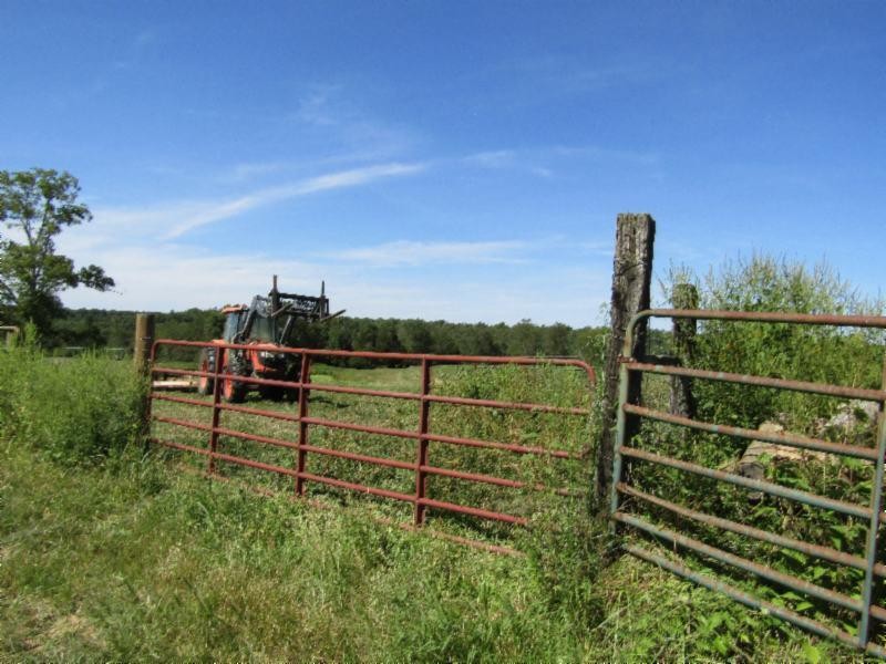 306 Ernie Hurst Road Deer Lodge, TN 37726 - Photo 21 of 38 Gallery Image 21