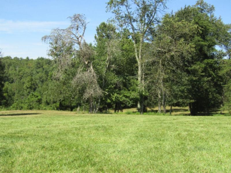 306 Ernie Hurst Road Deer Lodge, TN 37726 - Photo 22 of 38 Gallery Image 22