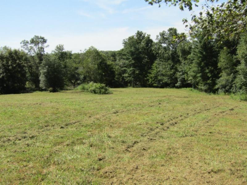 306 Ernie Hurst Road Deer Lodge, TN 37726 - Photo 23 of 38 Gallery Image 23