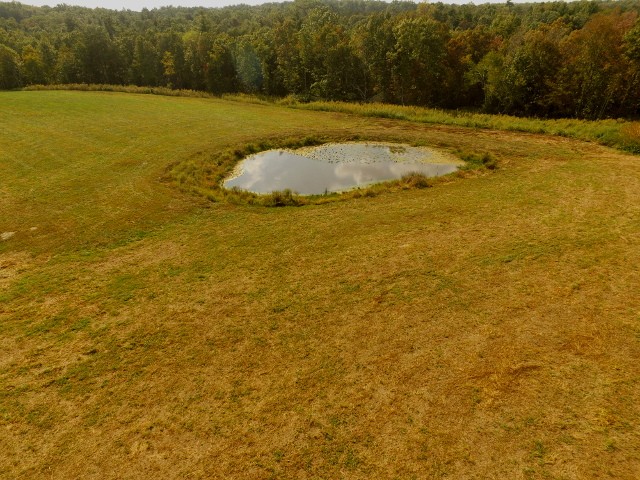 306 Ernie Hurst Road Deer Lodge, TN 37726 - Photo 28 of 38 Gallery Image 28