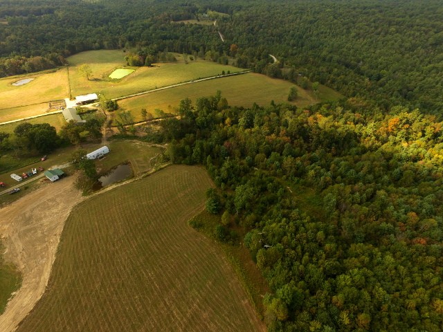 306 Ernie Hurst Road Deer Lodge, TN 37726 - Photo 29 of 38 Gallery Image 29
