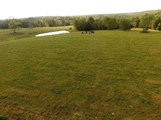 306 Ernie Hurst Road Deer Lodge, TN 37726 - Photo 33 of 38 Gallery Image 33