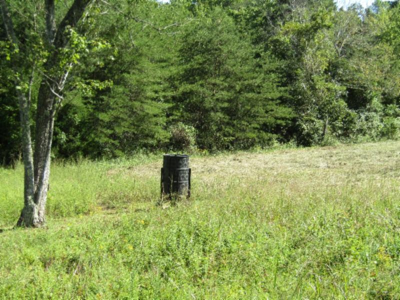 306 Ernie Hurst Road Deer Lodge, TN 37726 - Photo 34 of 38 Gallery Image 34