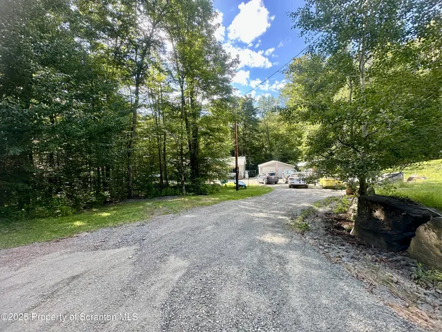 a white house covered with tall trees