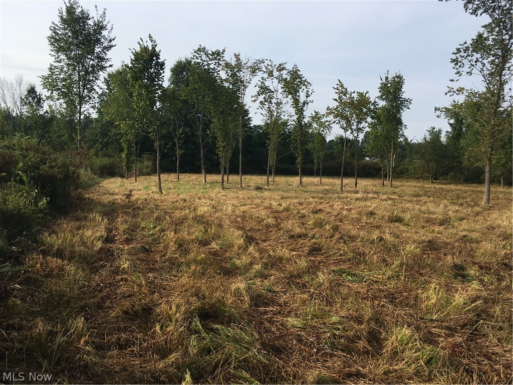 10008 Cable Line Road Newton Falls, OH 44444 - Photo 26 of 31