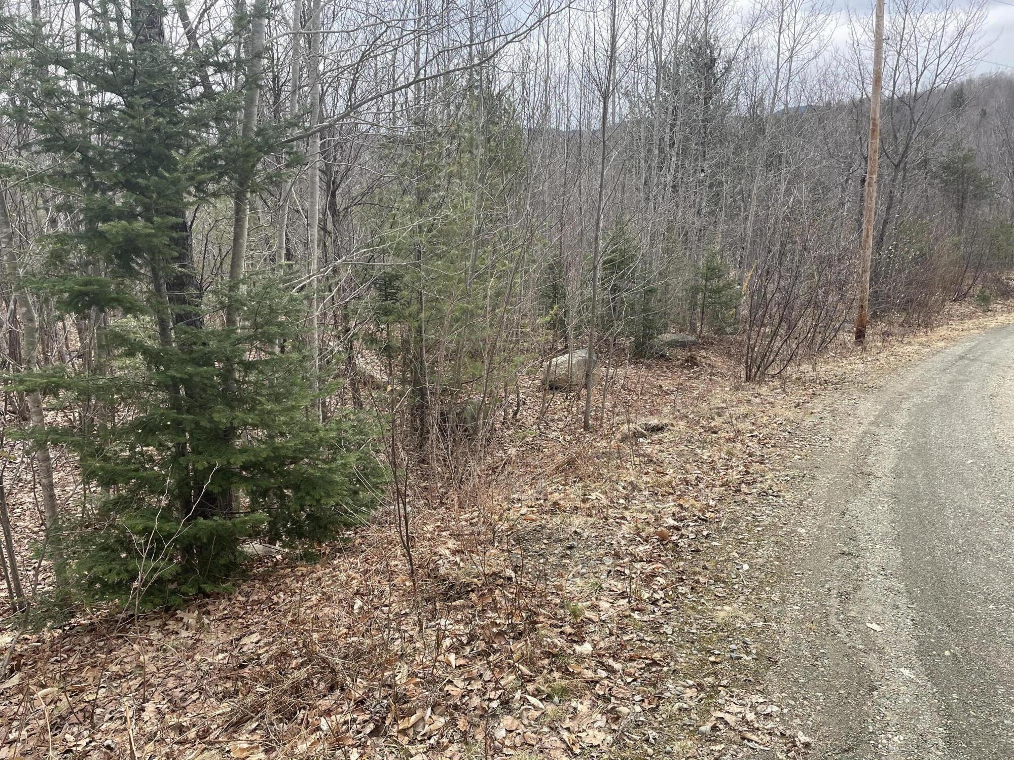 2 Mooseley Ridge Road Phillips, ME 04966 - Photo 4 of 12 IMG_1048