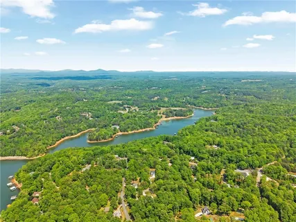 an aerial view of green landscape with trees houses and lake view