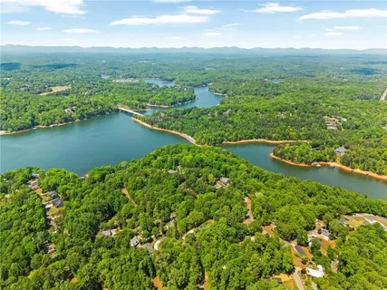 an aerial view of green landscape with trees houses and lake view