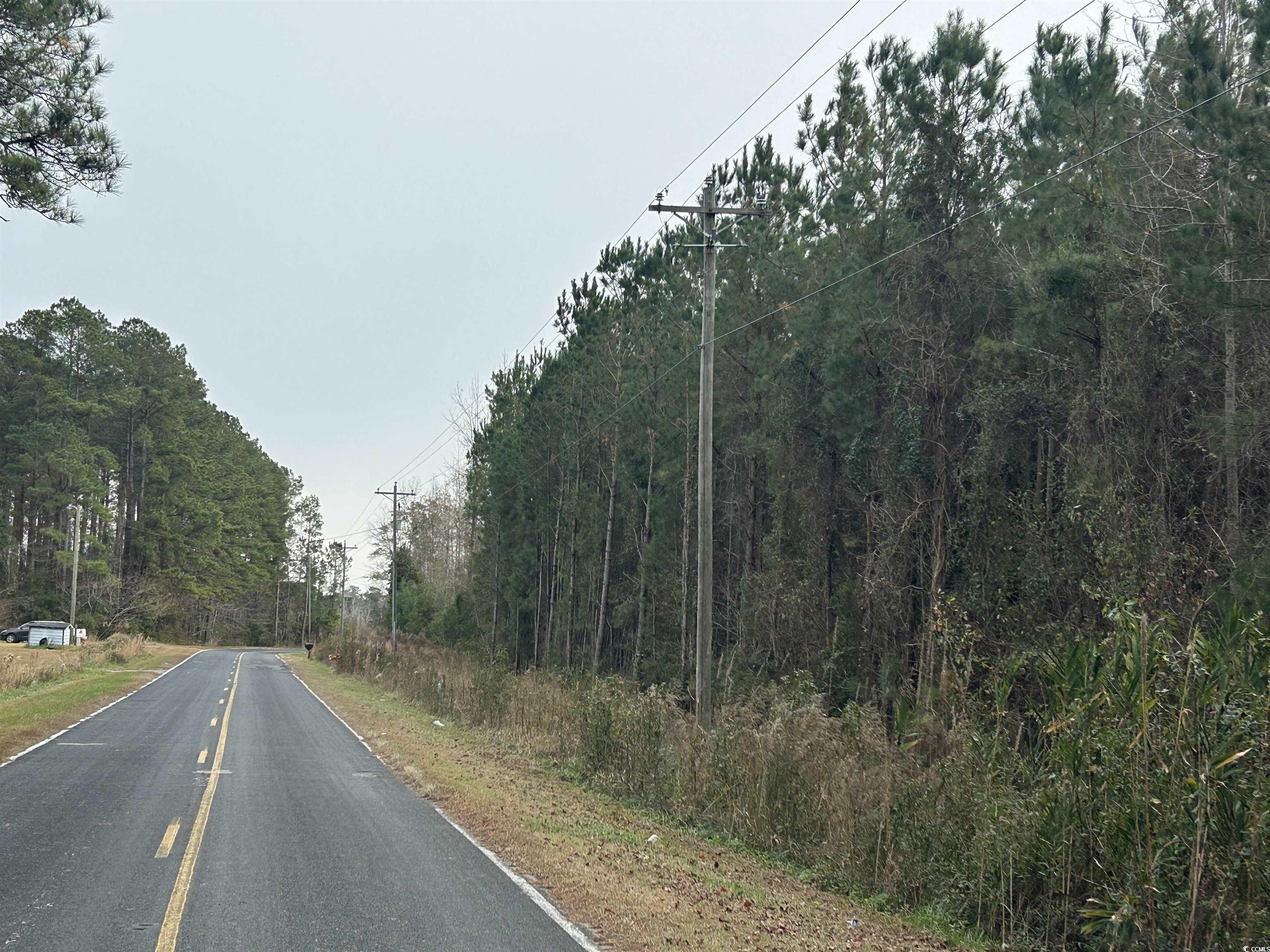 746 Highway 746 Loris, SC 29569 - Photo 10 of 26