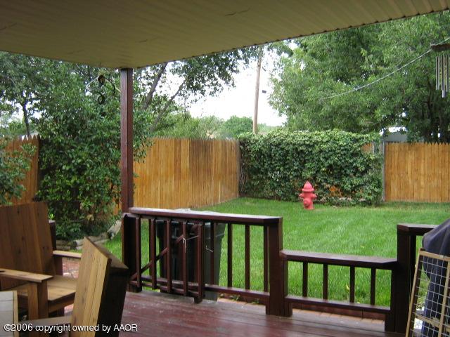 Backyard1