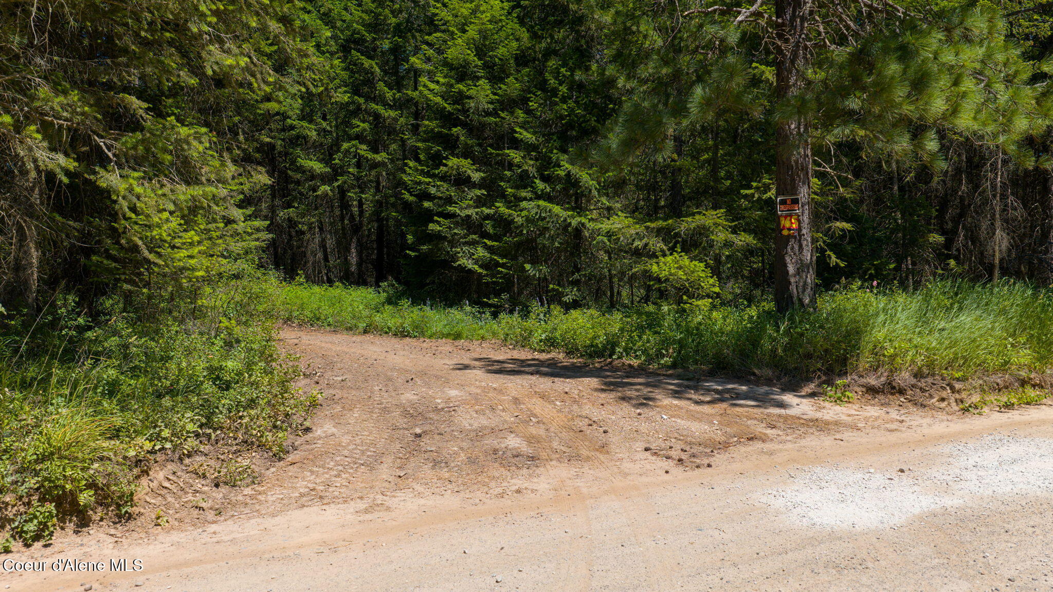965 Trails End Road Athol, ID 83801 - Photo 2 of 26 Driveway Entrance
