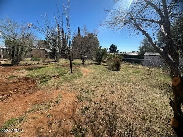a view of a yard with a tree