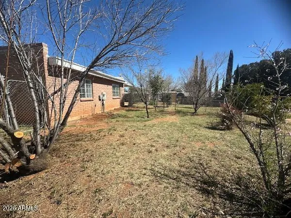 a view of a yard with a tree
