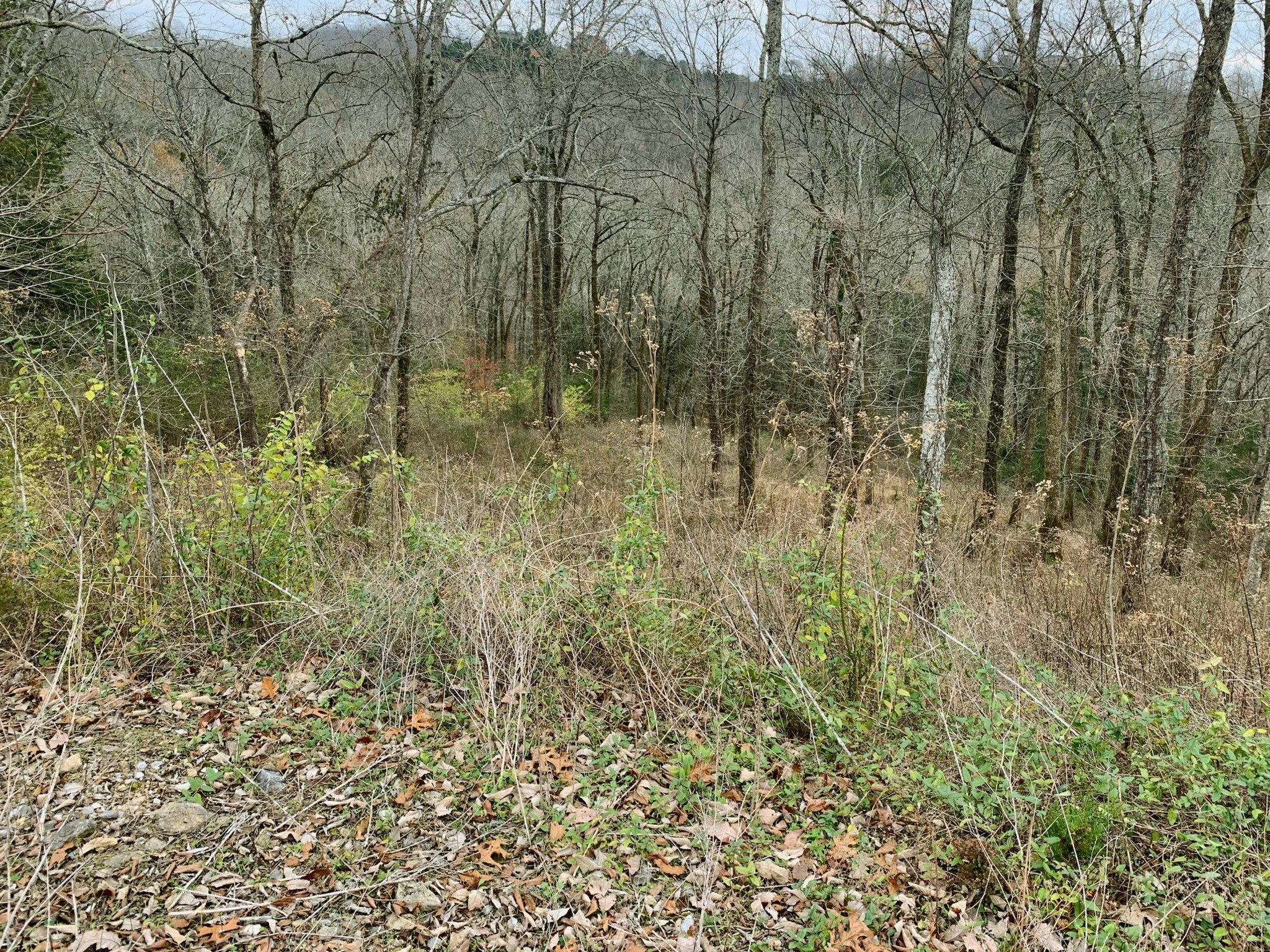 137 Rutherford Lane Smithville, TN 37166 - Photo 9 of 25 Gallery Image 9