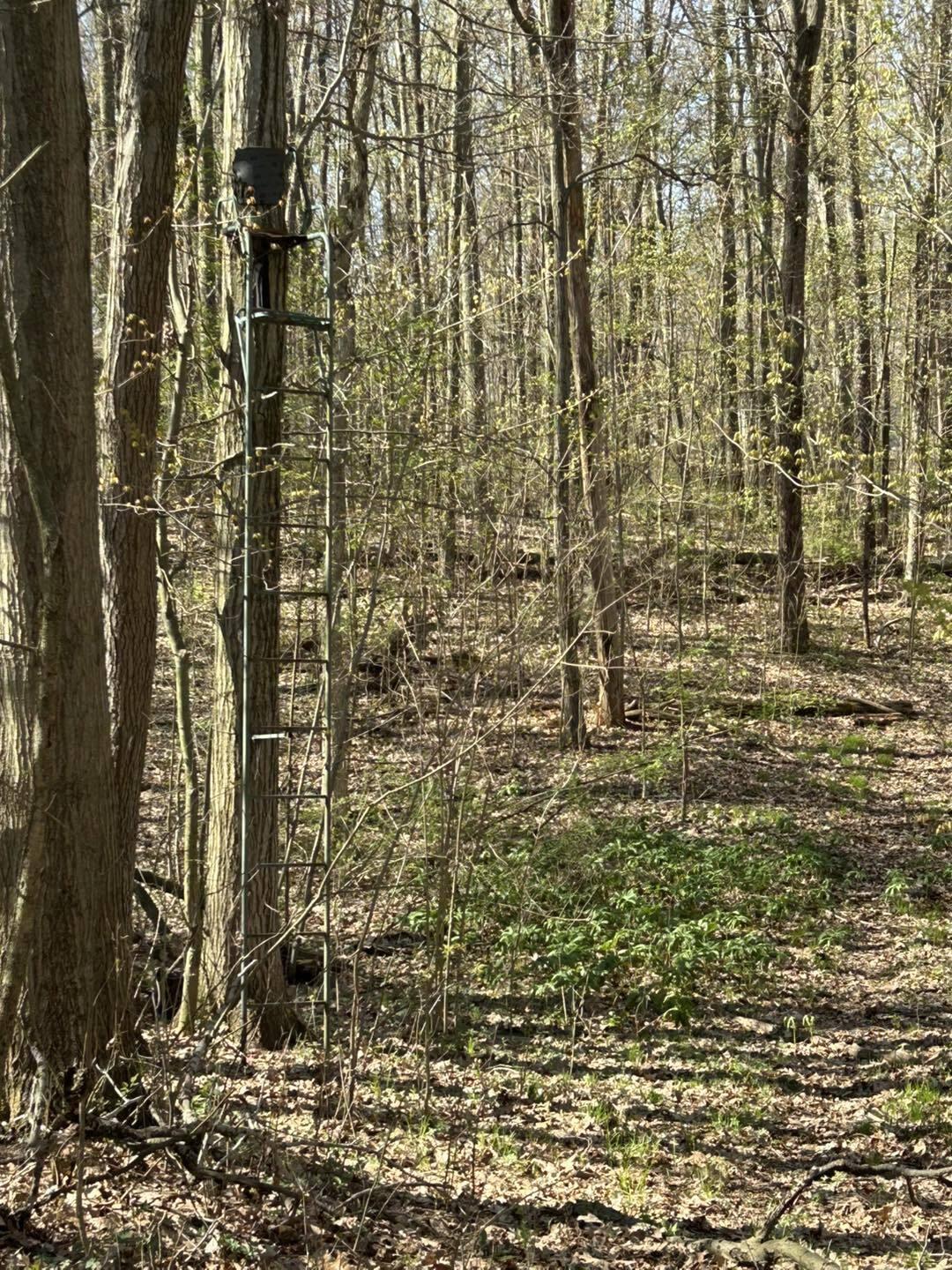 9151 Fowle Road Jonesville, MI 49250 - Photo 5 of 14 fowle9