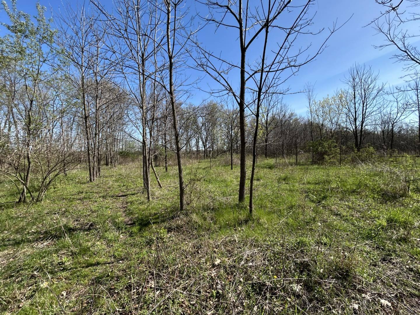 9151 Fowle Road Jonesville, MI 49250 - Photo 7 of 14 fowle7