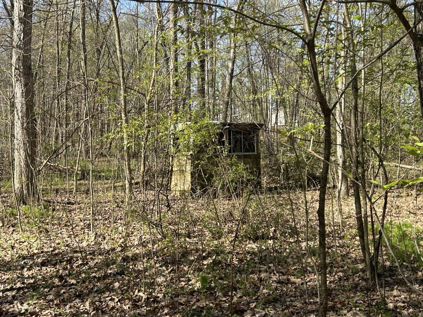 9151 Fowle Road Jonesville, MI 49250 - Photo 8 of 14 fowle6