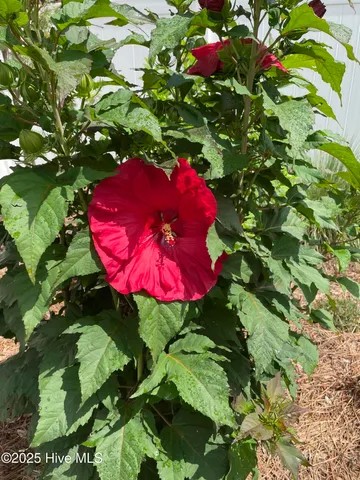 $835,000 | 115 Southeast 12th Street, Oak Island, NC 28465