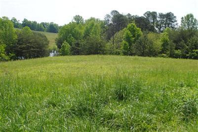 478 Whitson School Road London, KY 40741 - Photo 6 of 19 Photo 6