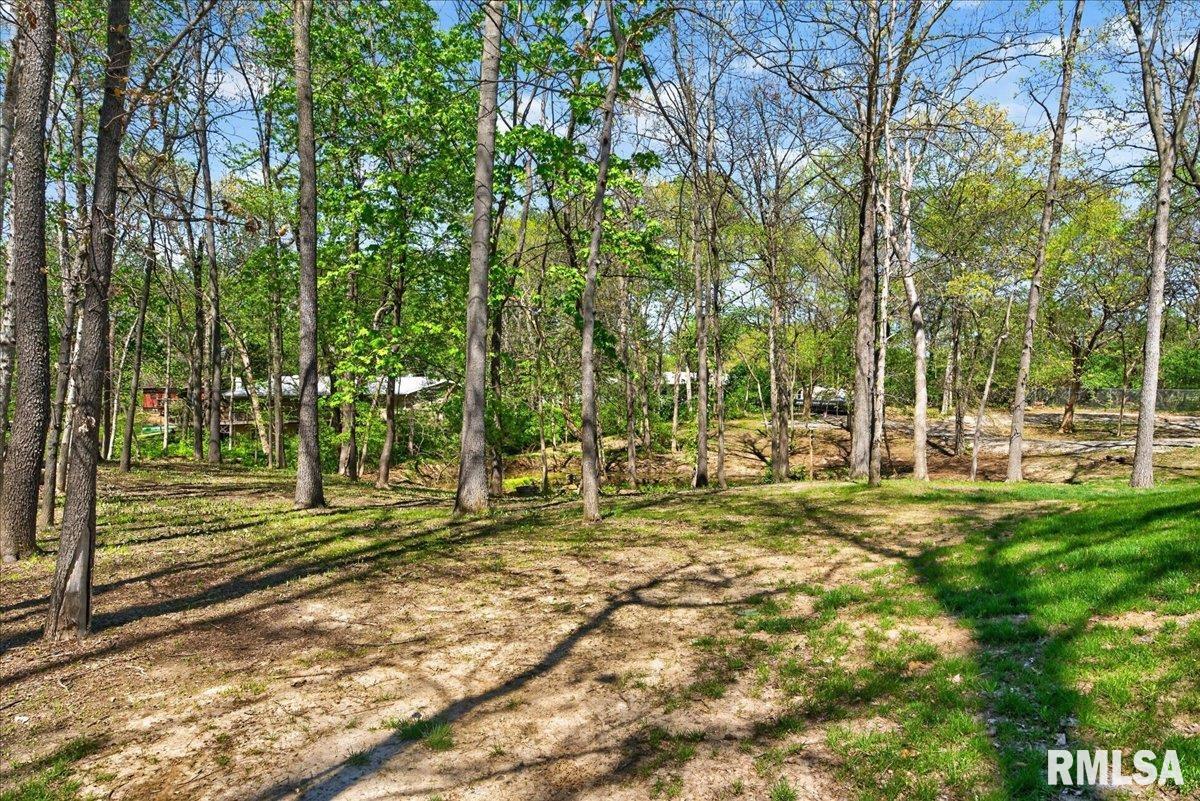 49 Westwood Lane Springfield, IL 62711 - Photo 60 of 65