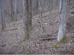 0 Joe Bailey Road Fletcher, NC 28732 - Photo 2 of 18 a view of a pathway to yard