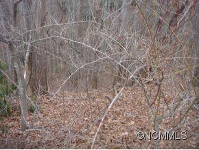 0 Joe Bailey Road Fletcher, NC 28732 - Photo 11 of 18 a close up of a wall