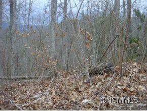0 Joe Bailey Road Fletcher, NC 28732 - Photo 12 of 18 a view of a yard