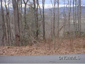 0 Joe Bailey Road Fletcher, NC 28732 - Photo 18 of 18 a view of a dry yard
