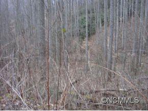 0 Joe Bailey Road Fletcher, NC 28732 - Photo 5 of 18