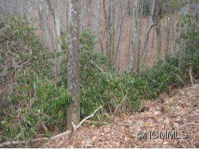 0 Joe Bailey Road Fletcher, NC 28732 - Photo 6 of 18 a view of a backyard