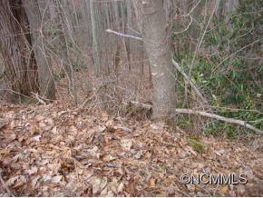 0 Joe Bailey Road Fletcher, NC 28732 - Photo 7 of 18 a view of a dry yard with trees all around