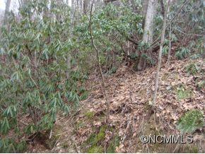 0 Joe Bailey Road Fletcher, NC 28732 - Photo 8 of 18 a view of a field