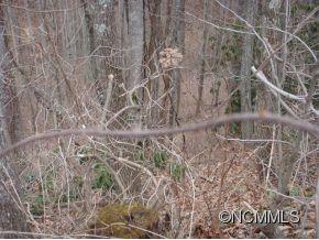 0 Joe Bailey Road Fletcher, NC 28732 - Photo 9 of 18 a backyard of a building