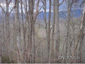 0 Joe Bailey Road Fletcher, NC 28732 - Photo 10 of 18 a view of under tree