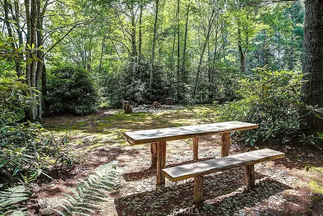 a view of a garden with a tree