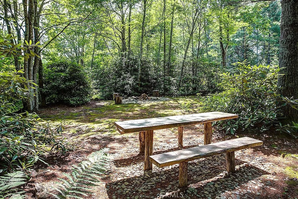 3434 Old Jonas Ridge Road Newland, NC 28657 - Photo 11 of 57