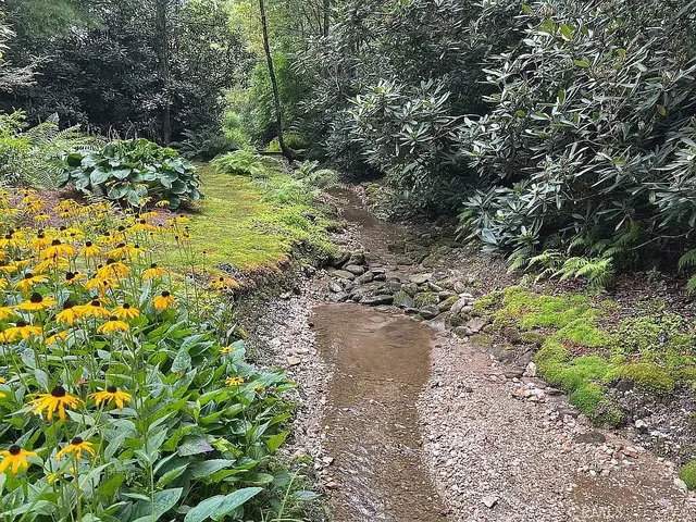 a view of a garden with a tree